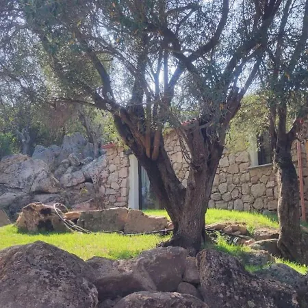 Smeralda Pic House شقة