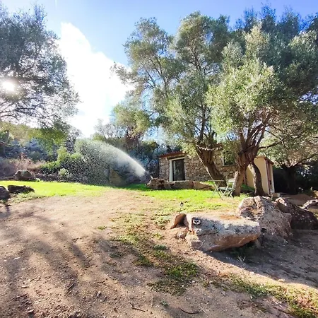 Smeralda Pic House アパート アルツァケーナ