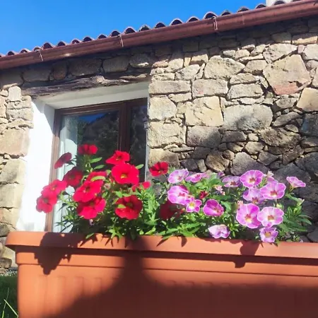 Apartament Smeralda Pic House Arzachena
